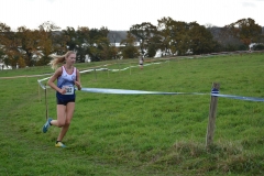 cross-quimper-nov-2018-153