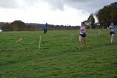 cross-quimper-nov-2018-163